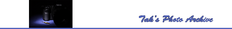 MastHead
