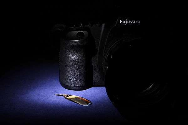 Canon 5D Mark II shadow picture